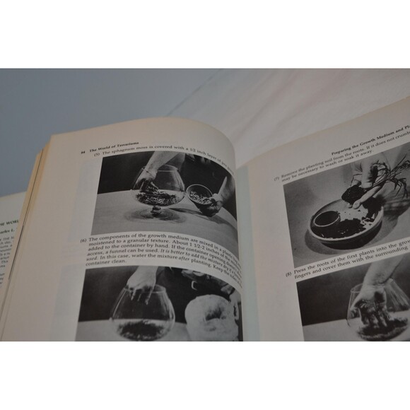 Terrariums 1970s Are Back The World of Terrariums 1975s  Design Building Caring - Picture 6 of 7